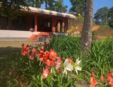Guest house TripThrill Misty Heights Homestay